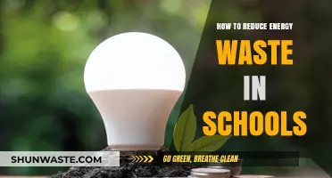 Smart Strategies to Cut Energy Waste in Schools
