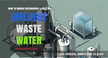 Effective Strategies to Lower Enterococci in Wastewater Effluent