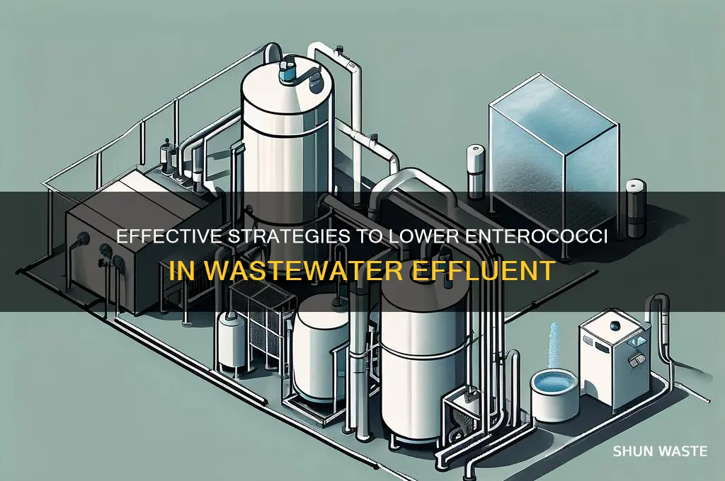 how to reduce enterococci levels in effluent waste water