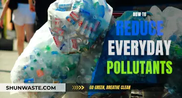 Live Cleaner: Reduce Everyday Pollutants for a Healthier You