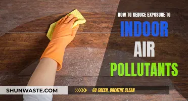 Purify Your Indoor Air: Simple Steps to Breathe Easier