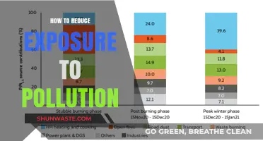 Protecting Yourself from Pollution: Simple Ways to Reduce Exposure