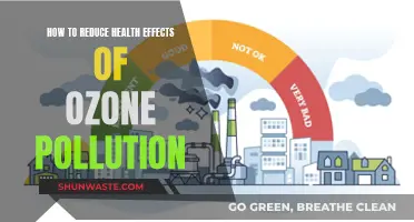 Protecting Ourselves from Ozone: Reducing Health Risks