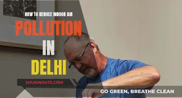 Breathe Easy: Reduce Delhi's Indoor Air Pollution