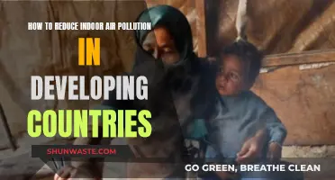 Breathe Easy: Reducing Indoor Air Pollution in Developing Nations