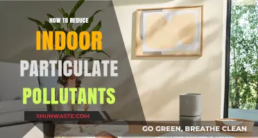 Breathe Easy: Reduce Indoor Pollutants, Improve Your Air