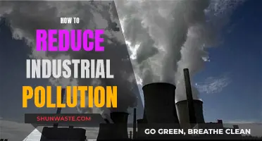 Industrial Pollution: Strategies for Reduction and a Sustainable Future