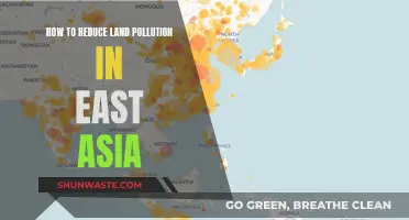 East Asia's Battle Against Land Pollution