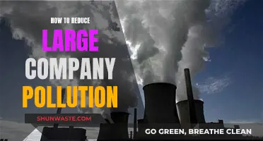 Strategies to Reduce Pollution in Large Corporations