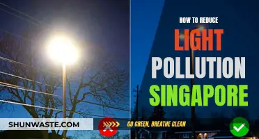 Reducing Light Pollution in Singapore: Strategies and Solutions