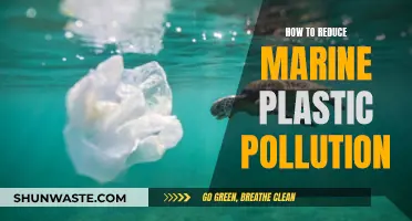 Combating Marine Plastic Pollution: Strategies for a Sustainable Future