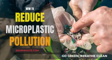 Reducing Microplastic Pollution: Small Steps, Big Impact