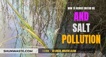 Reducing Motor Oil and Salt Pollution: Tips for Cleaner Environment