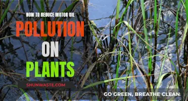 Protecting Plants: Reducing Motor Oil Pollution