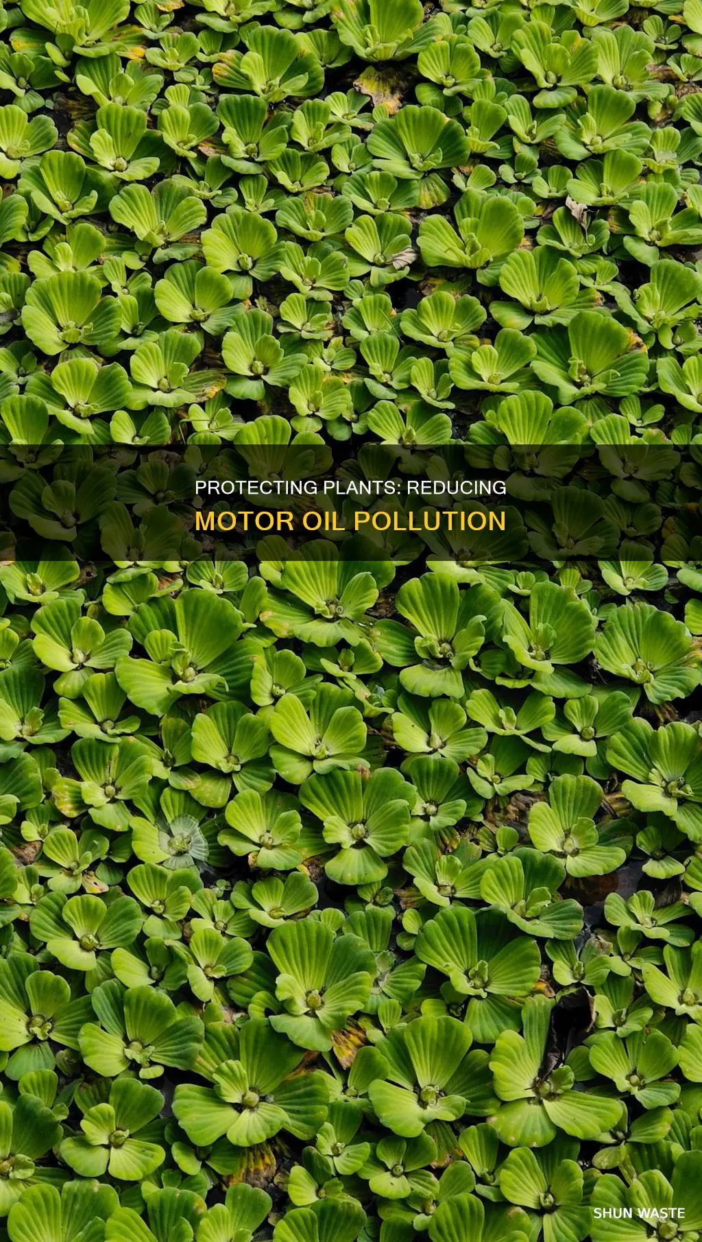 how to reduce motor oil pollution on plants