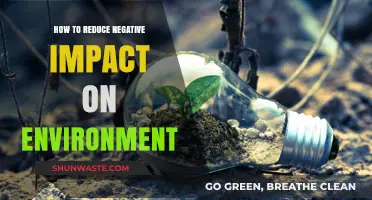 Sustainable Living: Simple Steps to Minimize Your Environmental Footprint