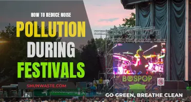 Reducing Noise Pollution for Happier, Healthier Festivals