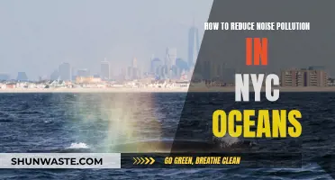 Quieting NYC Oceans: Strategies to Reduce Noise Pollution