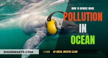 Minimizing Underwater Noise: Strategies to Protect Ocean Life