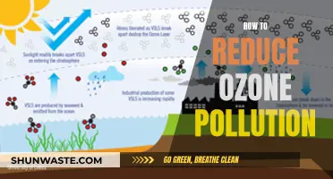 Strategies to Mitigate Ozone Pollution for a Greener Tomorrow