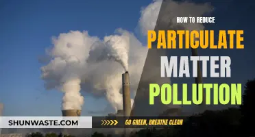 Reducing Particulate Matter Pollution: Strategies for Cleaner Air