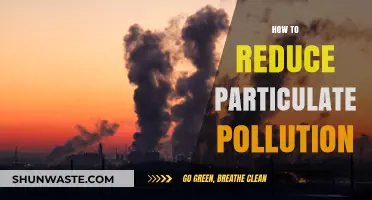 Cutting Particulate Pollution: Simple Steps for Clean Air