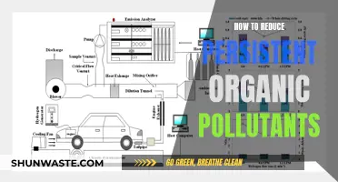 Minimizing Persistent Organic Pollutants: Strategies for a Cleaner Environment