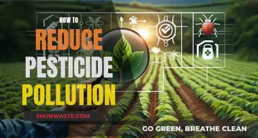 Reducing Pesticide Pollution: Strategies for a Healthier Environment