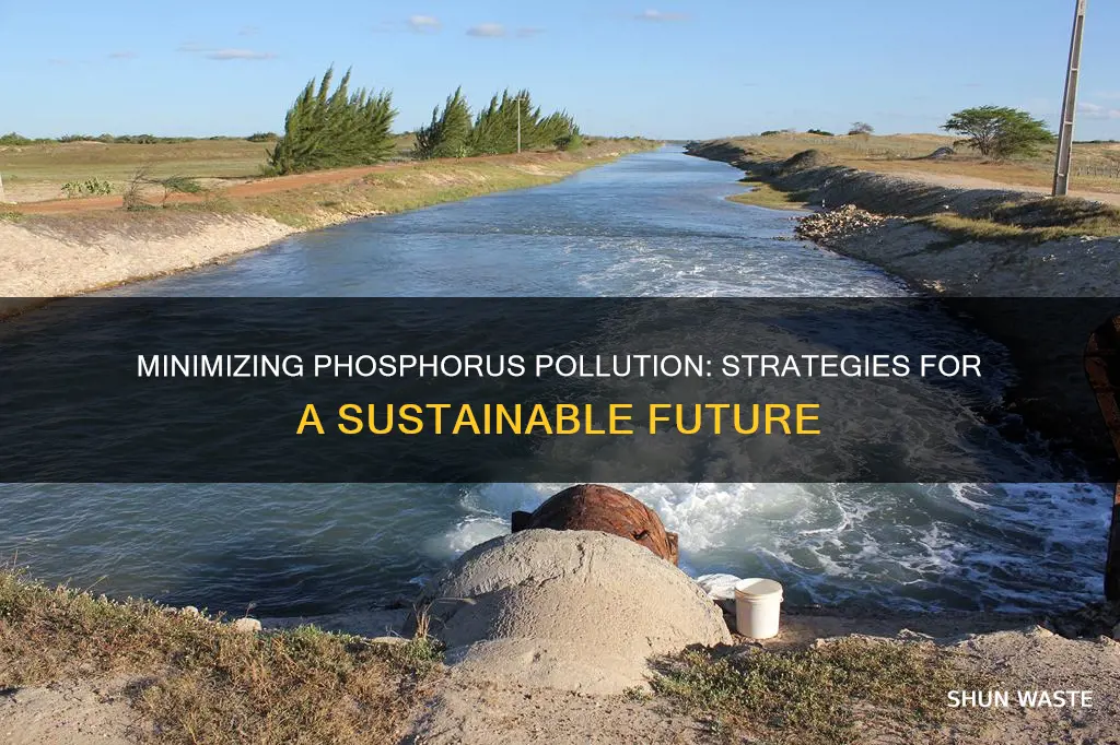 how to reduce phosphorous pollution