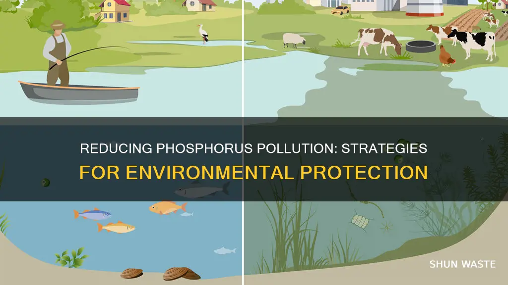 how to reduce phosphorus pollution