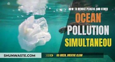 Reducing Ocean Pollution: Targeting Plastic and Other Marine Waste