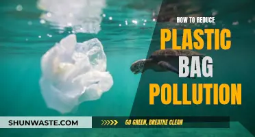 Reducing Plastic Bag Pollution: Tips for a Greener Tomorrow