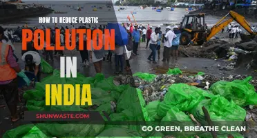 India's War on Plastic: Strategies to Reduce Pollution