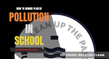 Combating Plastic Pollution: Sustainable Schools Take Action