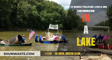 Protecting Lakes: Reducing Pollutants and Contamination