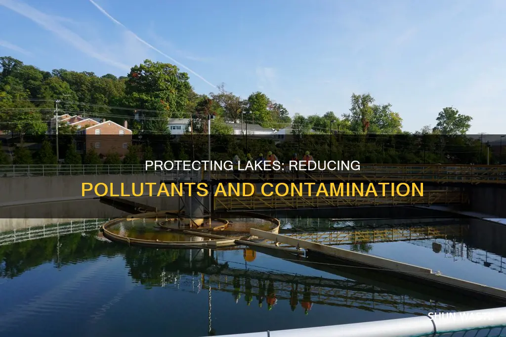 how to reduce pollutant levels and contamination in a lake