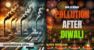 Post-Diwali Pollution Control: Tips to Reduce Air and Noise Pollution