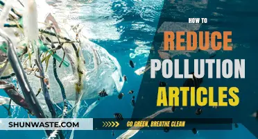 Reducing Pollution: Simple Steps for a Cleaner World
