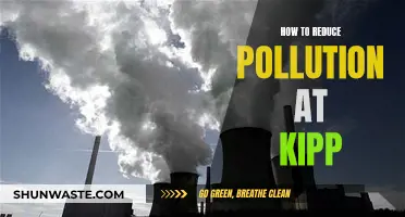 Kipp's Pollution Problem: Strategies for Cleaner Air