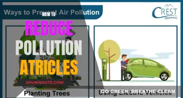 Reducing Pollution: Simple Steps for a Cleaner World