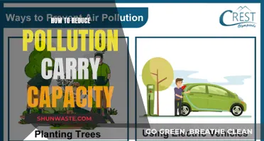 Reducing Pollution: Increasing Carry Capacity for a Greener Future