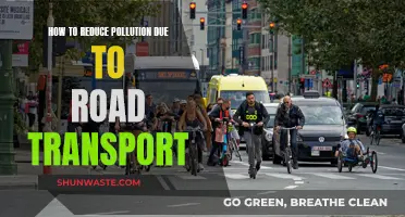 Green Road Transport: Reducing Pollution's Impact