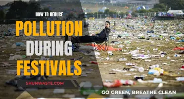 Festivals: Reducing Pollution, Keeping the Fun