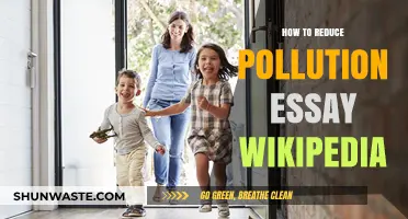 Reducing Pollution: Steps to a Cleaner World