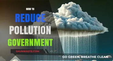 Government Action: Reducing Pollution's Impact