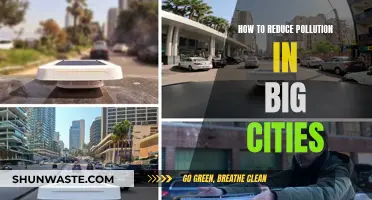 Big City Pollution: Strategies for Cleaner Air and Environment