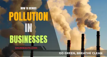 Businesses: Reduce Pollution, Improve Sustainability, Ensure Greener Future