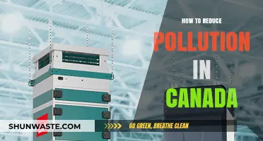 Canada's Green Revolution: Simple Steps to Cut Pollution