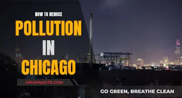 Chicago's Pollution: Strategies for Cleaner Air and Water