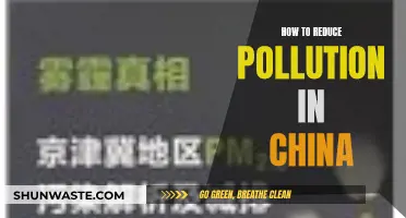 Strategies to Reduce Pollution in China